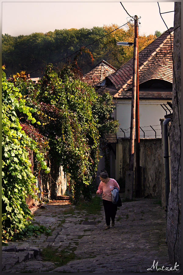 Ungarn - Budapest - 2006 Foto von Budapest Street Alte Dame Gasse