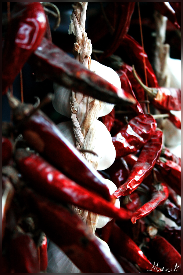 Chili e Aglio Foto von Chili Knoblauch Kette