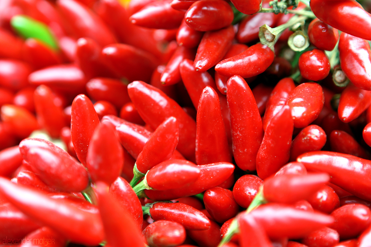 Chili Foto von Chili Schoten auf dem Markt