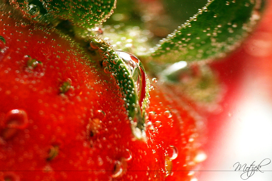 Strawberry Foto von Erdbeere Makro