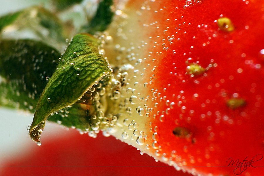 Strawberry Foto von Erdbeere Makro