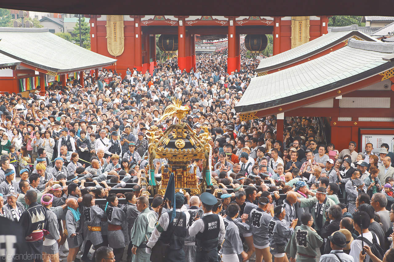Foto von Tausende Besucher feiern Sanja Matsuri