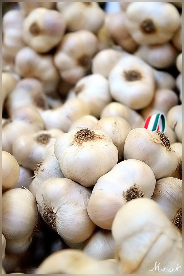 Aglio Foto von Knoblauch Haufen Markt Makro