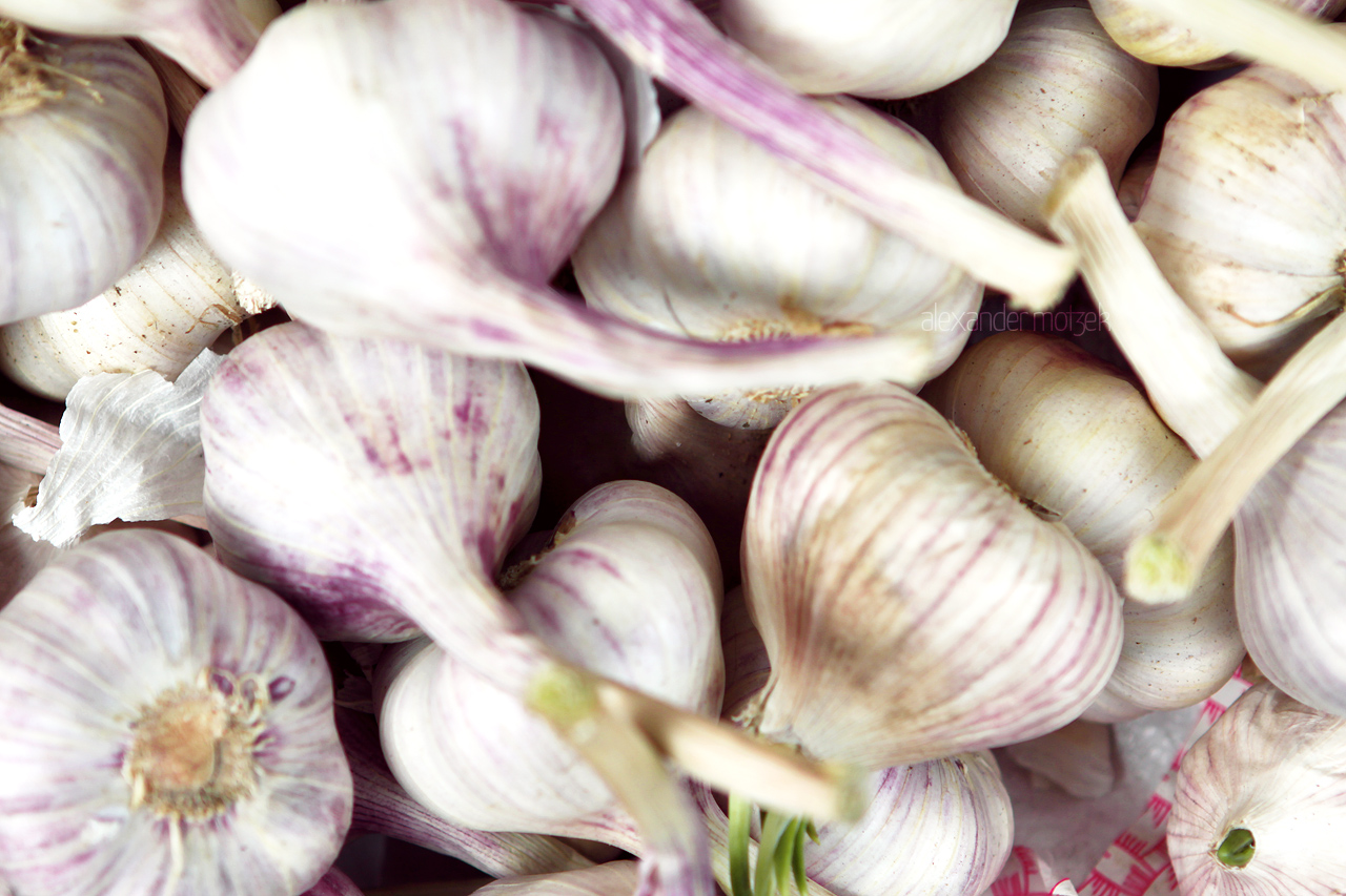 Knoblauch Foto von Knoblauch Knollen auf dem Markt