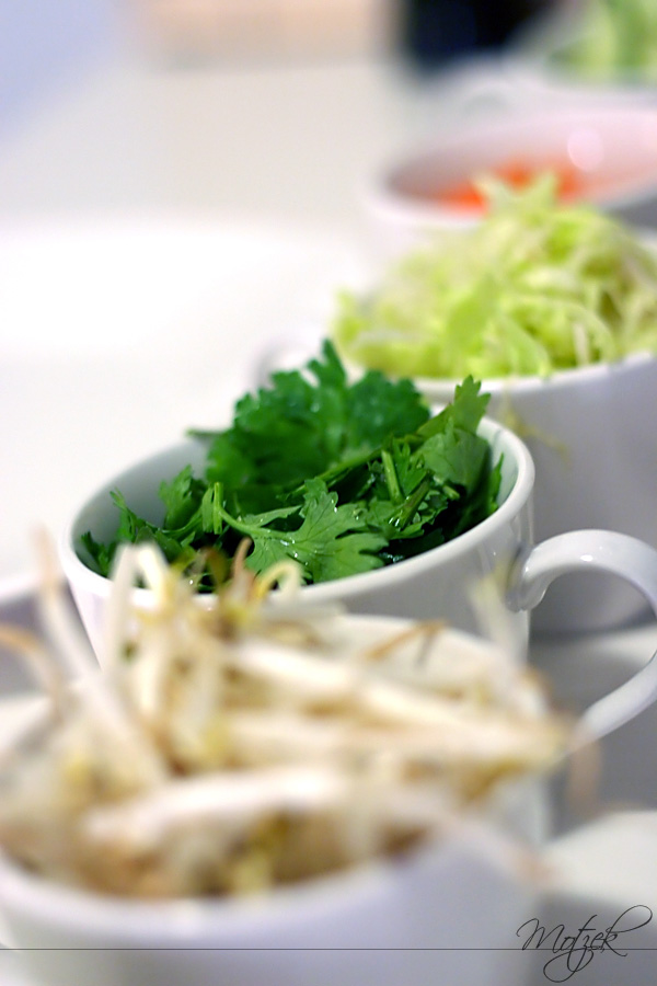 Coriander Foto von Koriander Sprossen Tassen