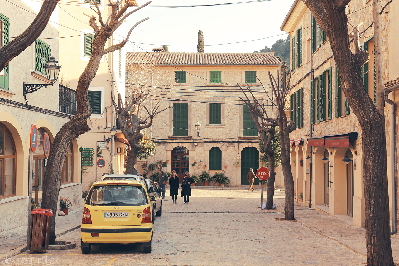 Foto von A serene street in Valldemossa, framed by leafless trees and local charm, under the Mallorcan sun.