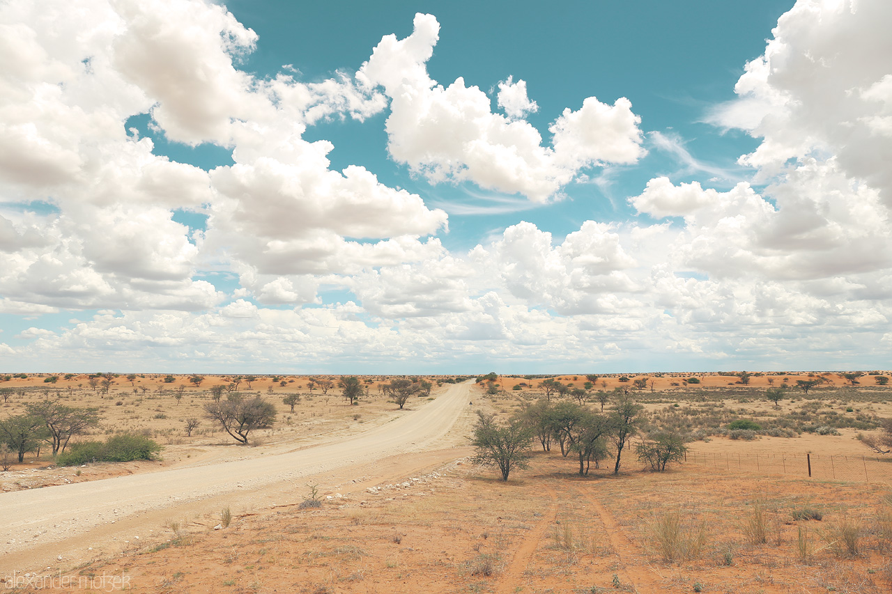 Foto von A dusty road splits under a vast sky, with sparse trees dotting the Hoachanas semi-desert landscape.