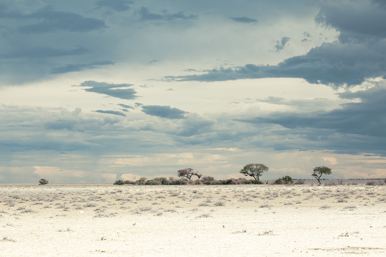 Foto von A serene vista of Etosha's white plains, dotted with acacia trees under a vast sky.