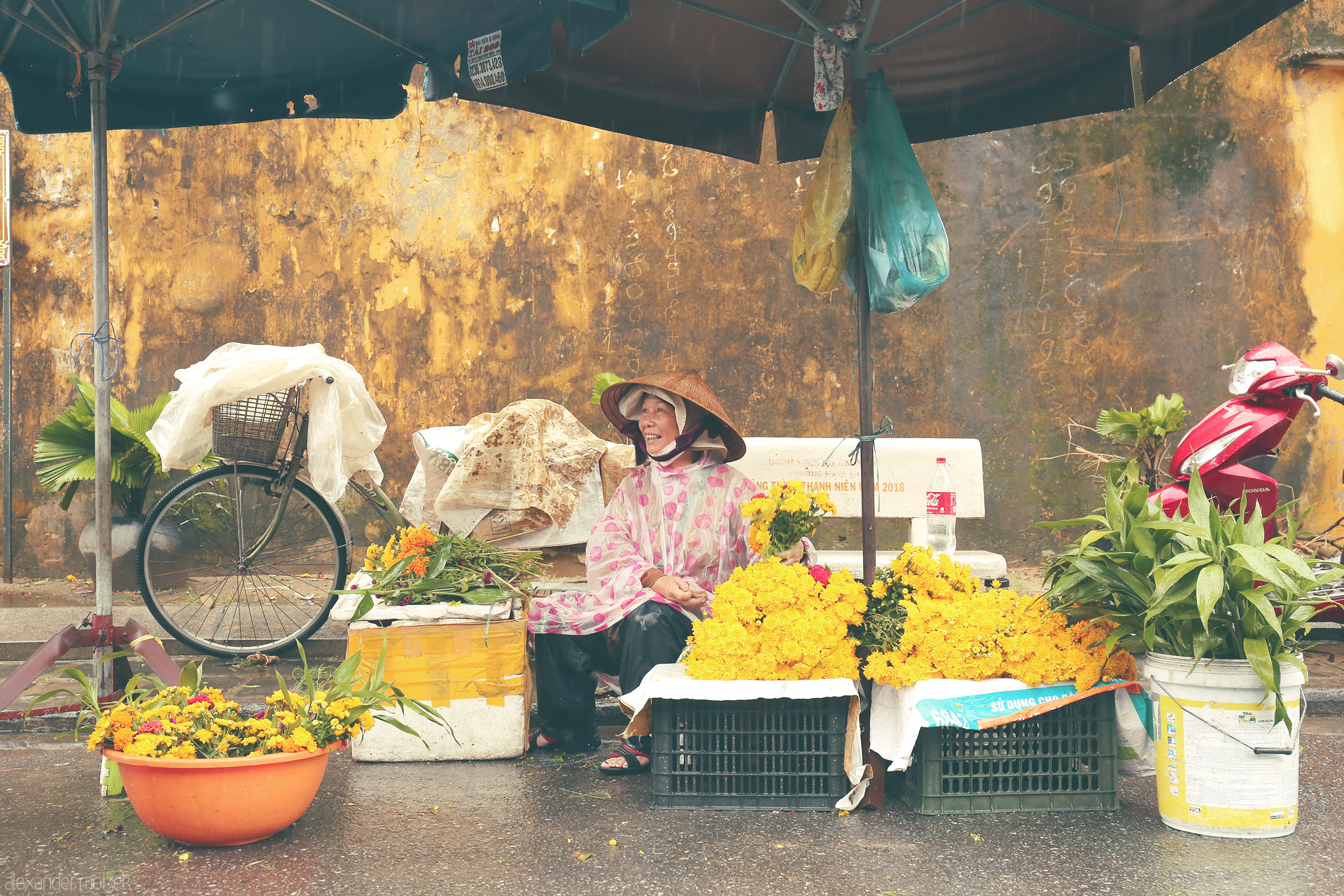 Foto von A Hoi An vendor in nón lá and raincoat, selling bright yellow flowers by an old ochre wall on a rainy Vietnamese street.