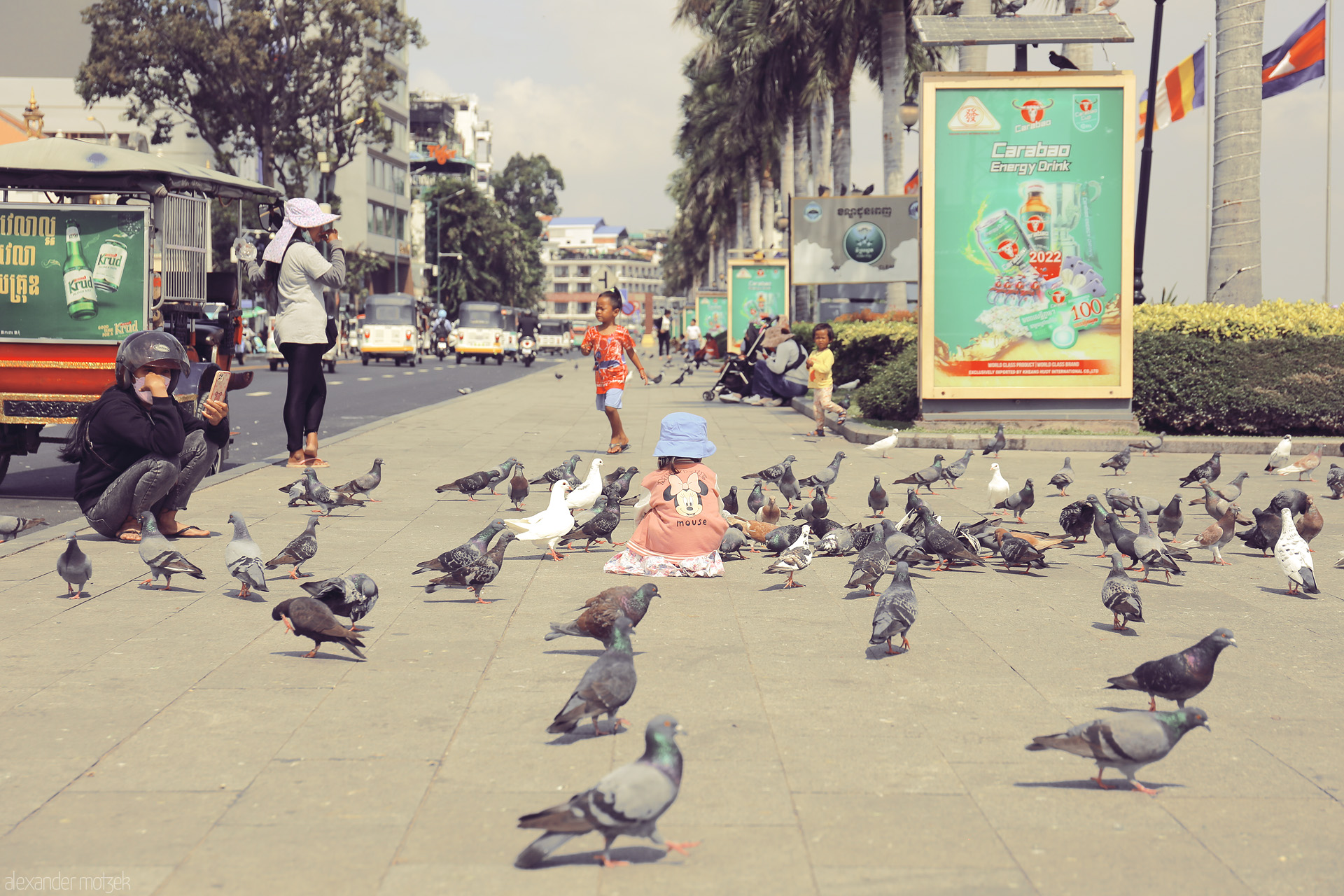Foto von A child sits among pigeons on Phnom Penh’s lively riverside, city life unfolding under palm trees in the heart of Cambodia.