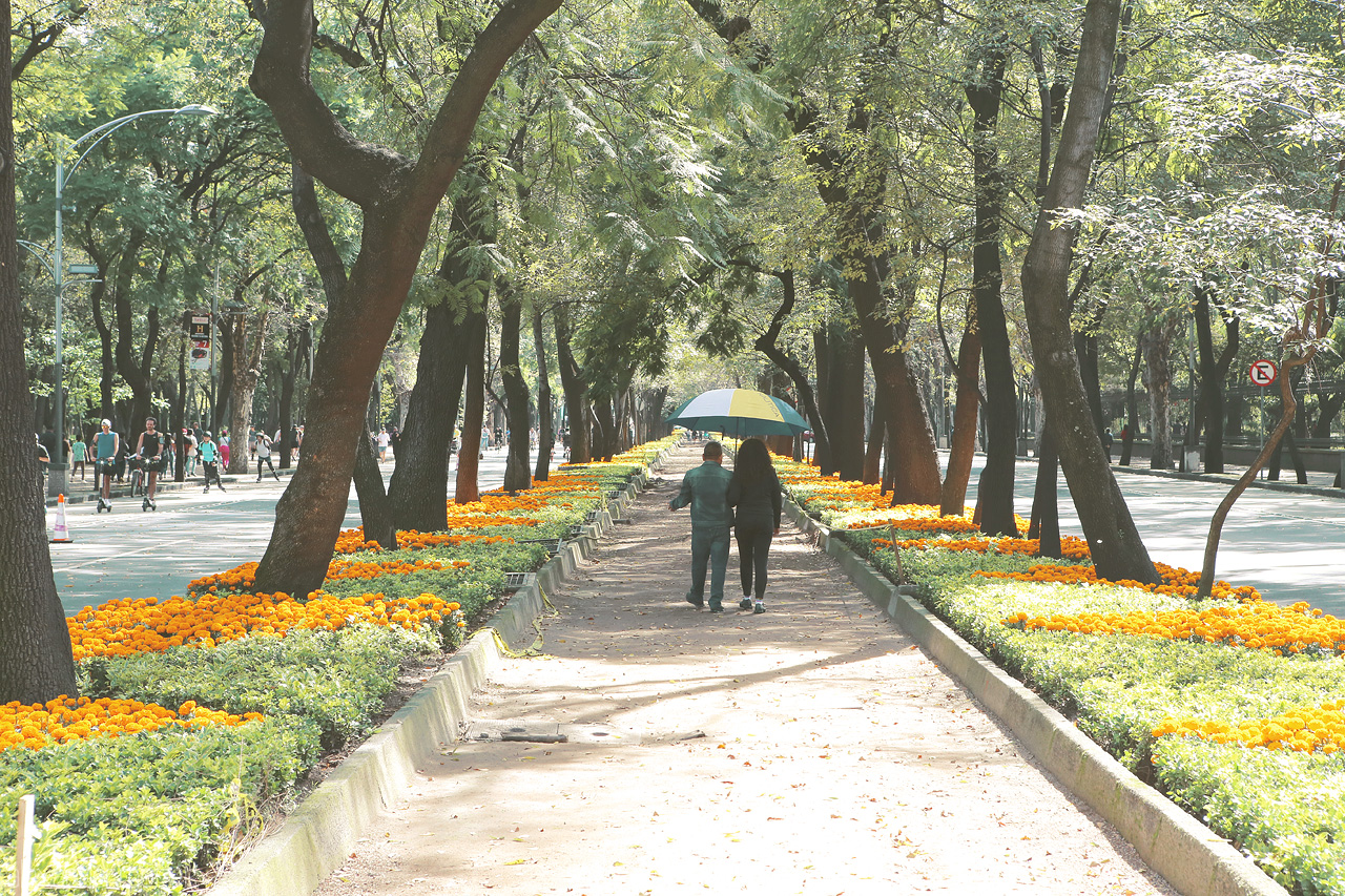 Paseo Hidalgo Foto von A couple strolls under lush canopies in Miguel Hidalgo, Mexico City, framed by vibrant marigolds.