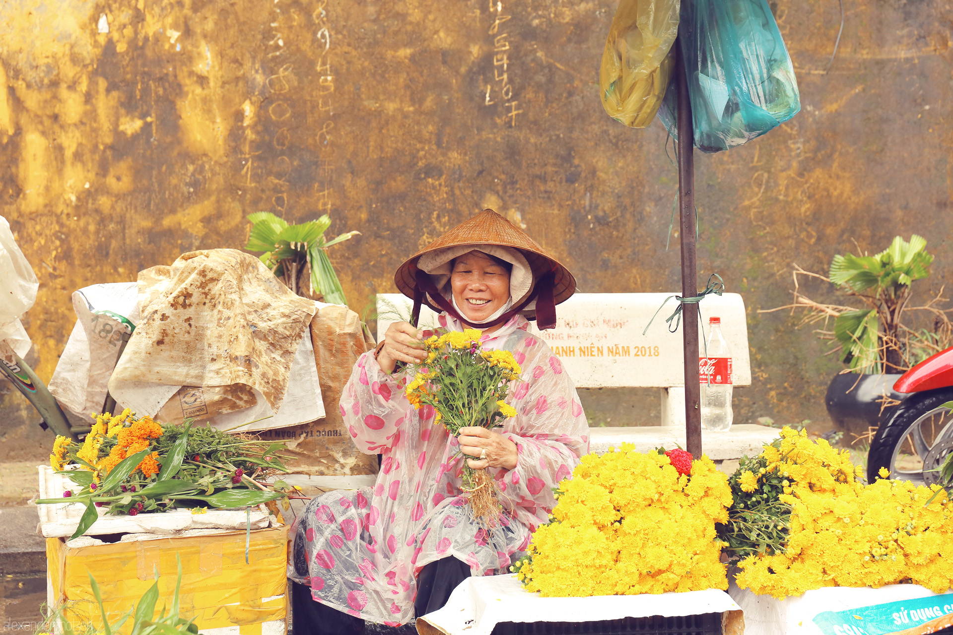 Foto von A flower vendor in Hoi An beams amid yellow blossoms, her nón lá and smile echoing the warmth of Vietnam’s ancient town.