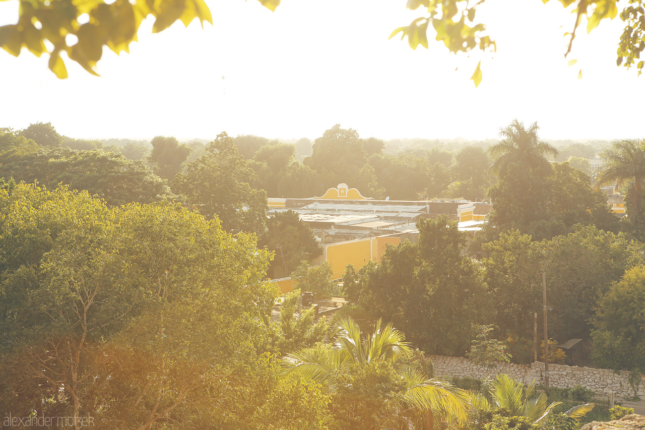 Luz de Izamal Foto von A golden sunset illuminates the lush greenery and yellow buildings of Izamal, the Yellow City of Yucatán.
