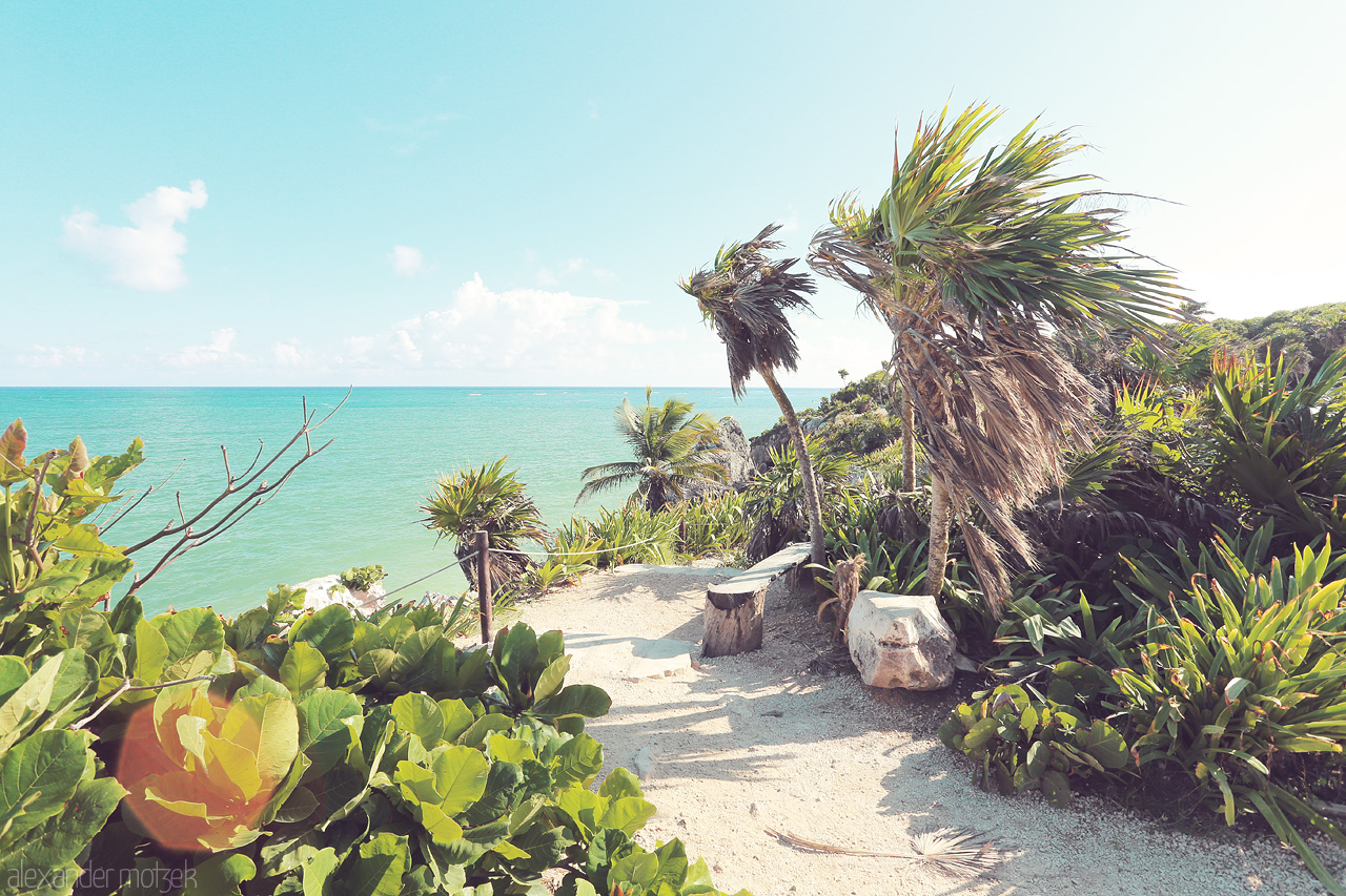 Tulum Tranquilo Foto von A serene coastal pathway in Tulum, framed by whispering palms and overlooking the azure Caribbean Sea.