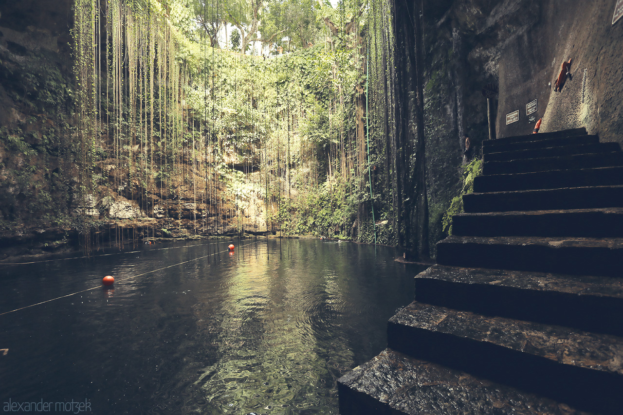 Cenote Suytun Foto von A serene underground oasis in Tinum, Yucatán, embraced by hanging vines and still waters.