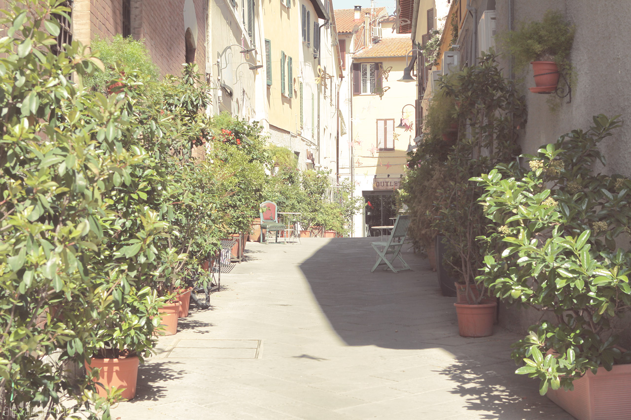Via di Serenità Foto von A sunlit alley in Tuscany, Italy, lined with vibrant potted plants and rustic charm.