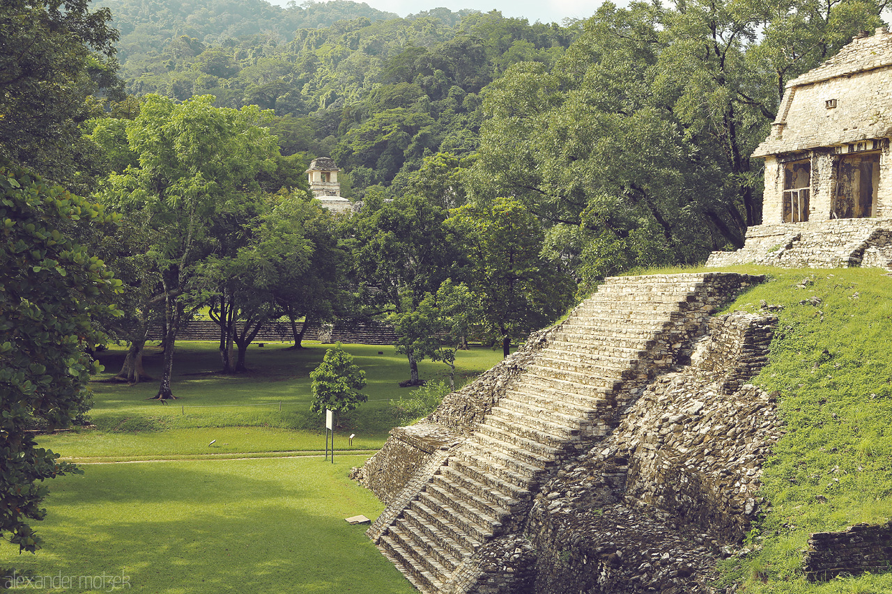 Palenque Verde Foto von Ancient Maya ruins in a lush Palenque jungle - a serene glimpse into Chiapas' history.