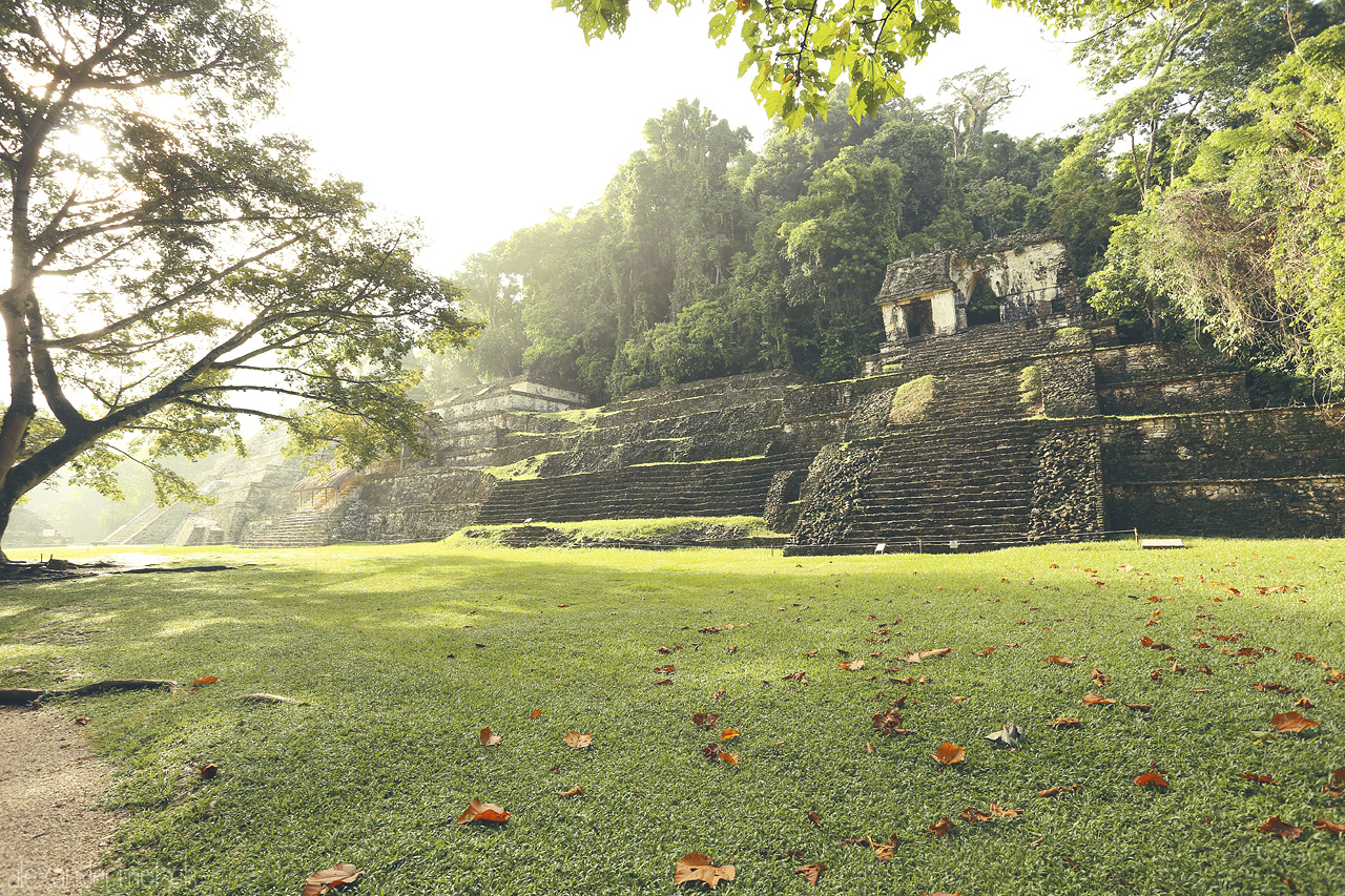 Palenque Luz Foto von Ancient Maya ruins rise among lush greenery in Palenque, the morning light casting mystical shadow.
