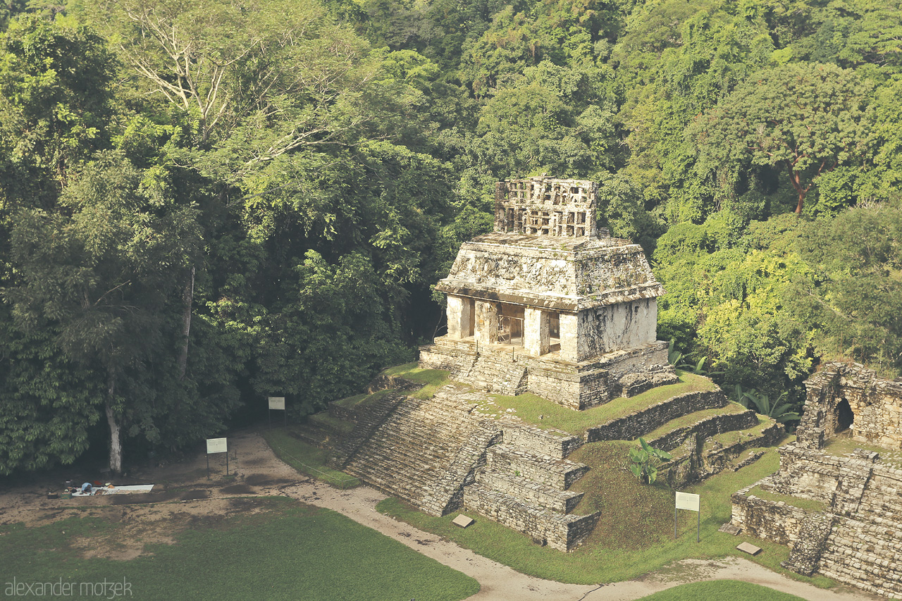Palenque Páramo Foto von Ancient Maya ruins rise among the lush forests of Palenque, a testament to Mexico's rich heritage.