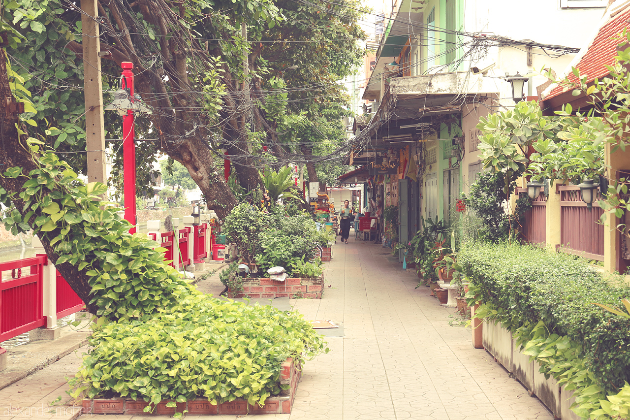 Foto von Discover a peaceful alley in Bangkok, Thailand, adorned with vibrant greenery and local charm, away from the bustling city streets.