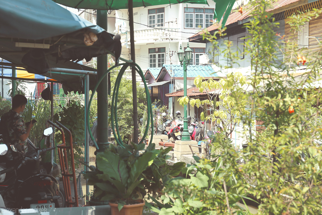 Foto von Lush greenery frames a serene alley in Wang Burapha Phirom, Bangkok, capturing everyday life amidst vibrant foliage.