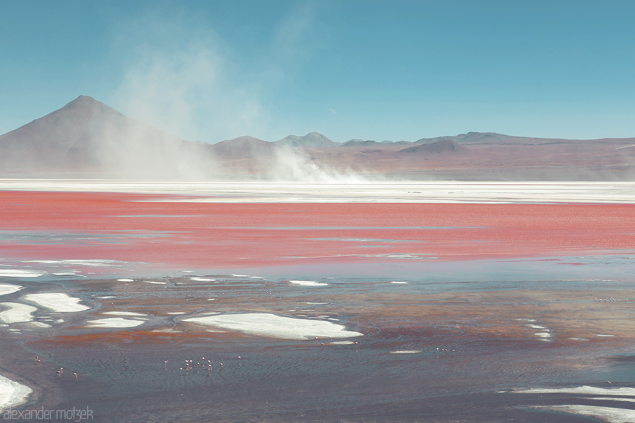 Foto von Die tief rote Lagune Colorada in der Salzwüste Salar de Uyuni