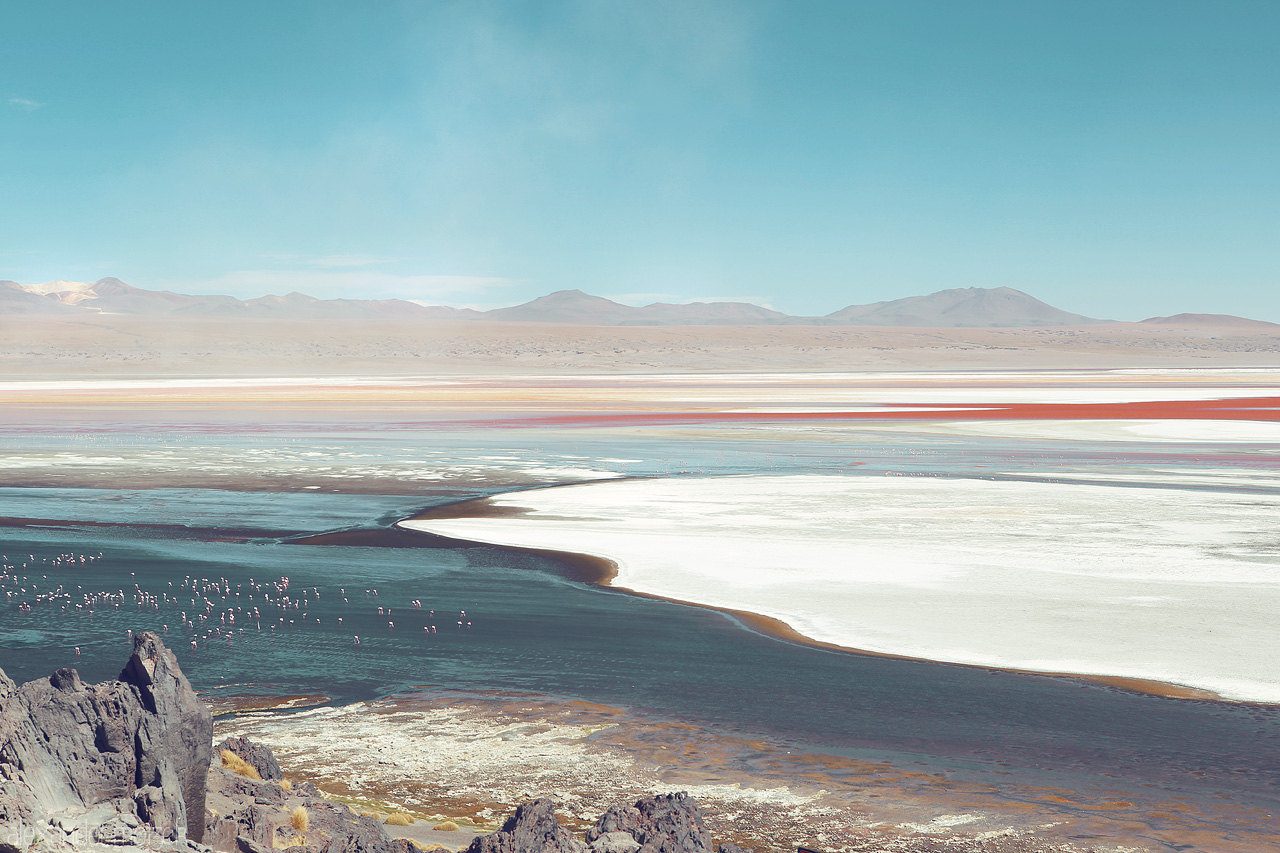 Foto von Farbenspiel in der Laguna Colorada aus rot weiß und blau in der Salzwüste Salar de Uyuni