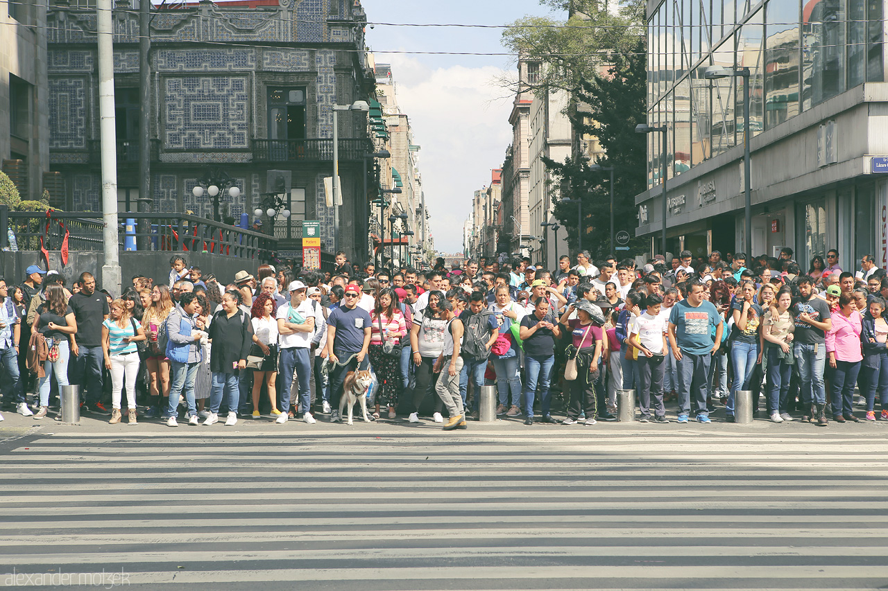 Corazón Capitalino Foto von Bustling street life against historic architecture in the vibrant heart of Cuauhtémoc, Mexico City.