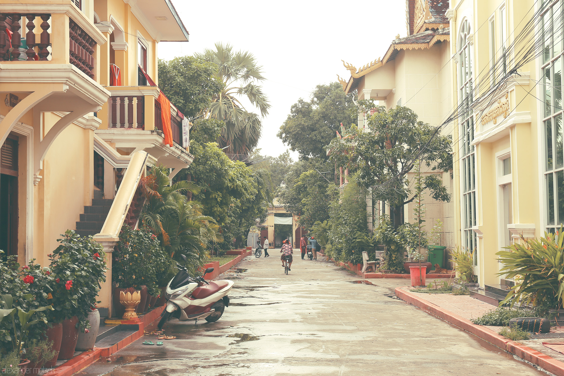 Golden Monsoon Alley Foto von Serene Phnom Penh lane after rain—ochre buildings, monks' robes, scooters, and lush tropical greenery, a glimpse of daily Cambodian calm.