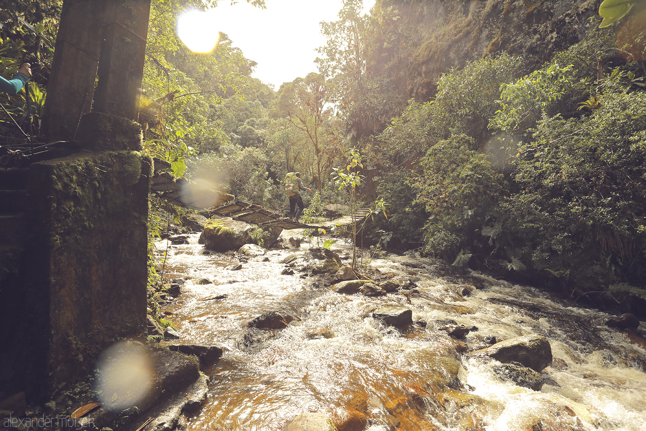 Foto von A serene river meanders through lush greenery under golden sunlight in the heart of Salento, Quindío, Colombia.