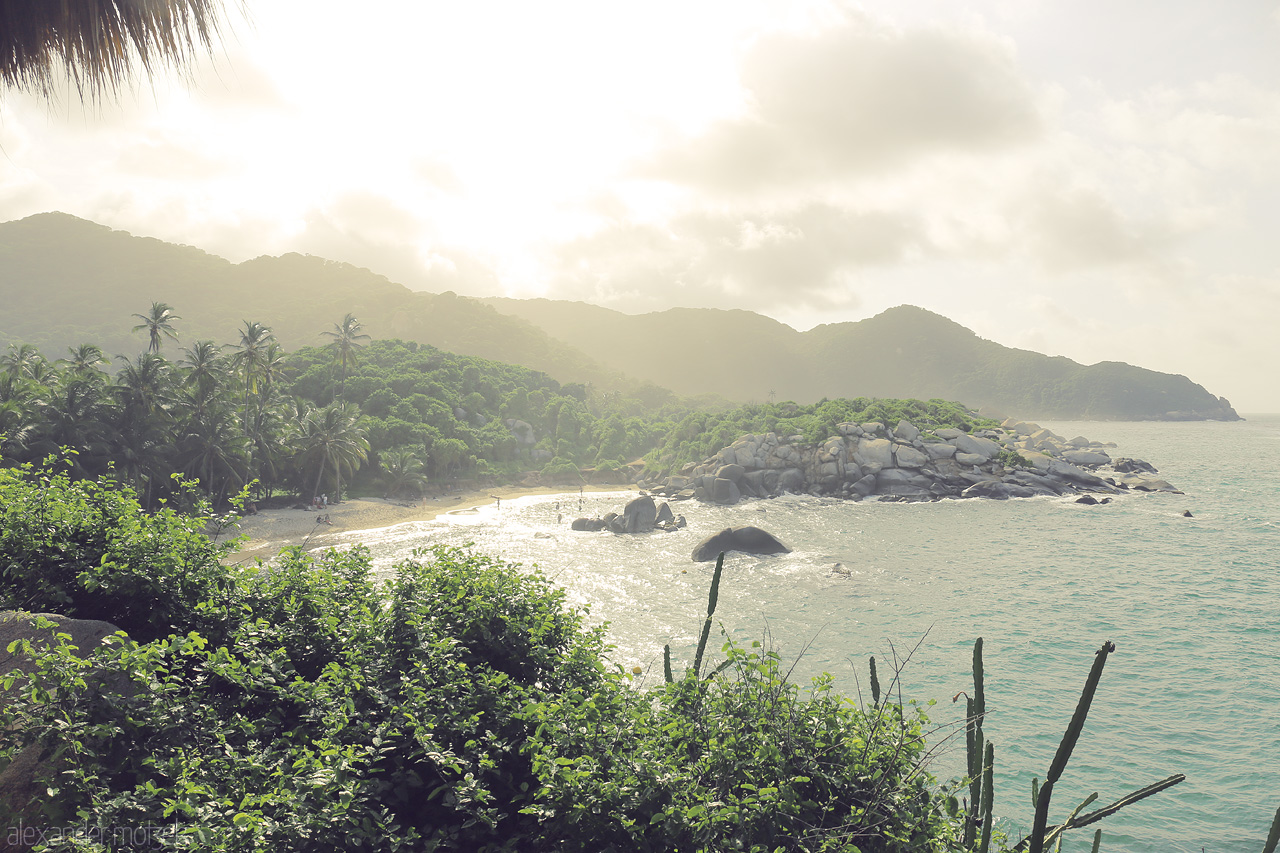 Foto von A sunlit, tropical paradise in Tayrona, Santa Marta, Colombia, where lush green meets the serene sea.