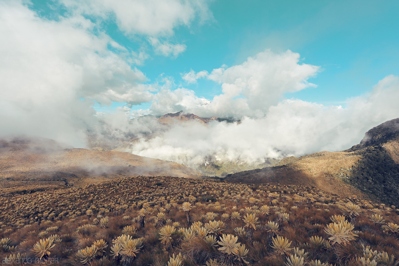 Foto von An ethereal view over the páramos of Salento, Quindío, Colombia, where clouds and rocky terrain embrace in the heart of the Andes.