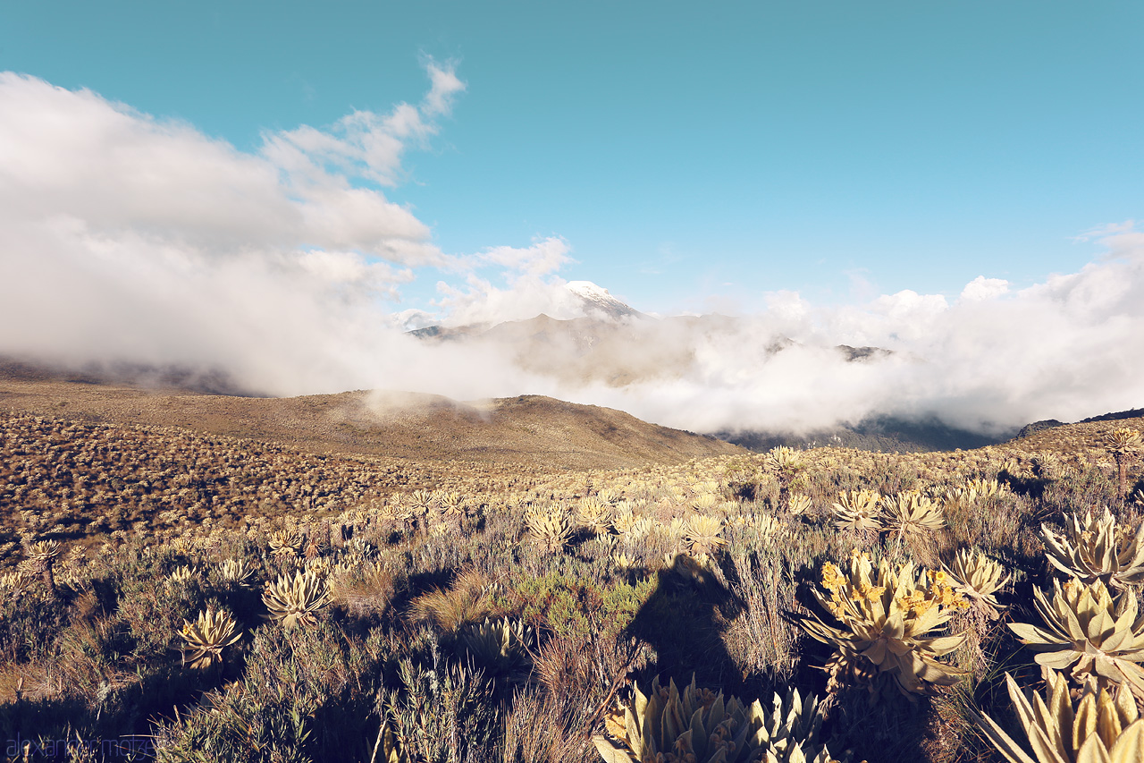 Foto von Capturing the serene mist over the sprawling páramos of Salento, Quindío, Colombia. A tranquil blend of sky and mountains.