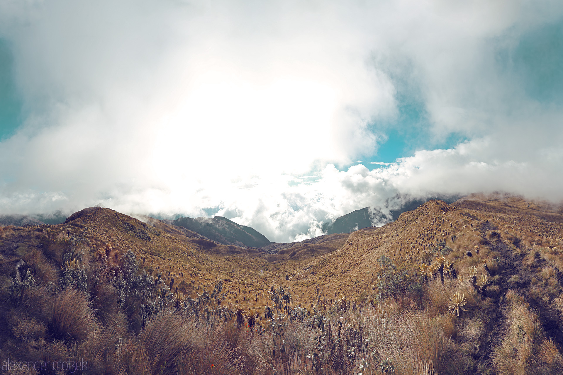 Foto von Golden mist blankets the breathtaking Páramo highlands of Salento, Quindío, Colombia. A tranquil, dream-like landscape bathed in soft light.