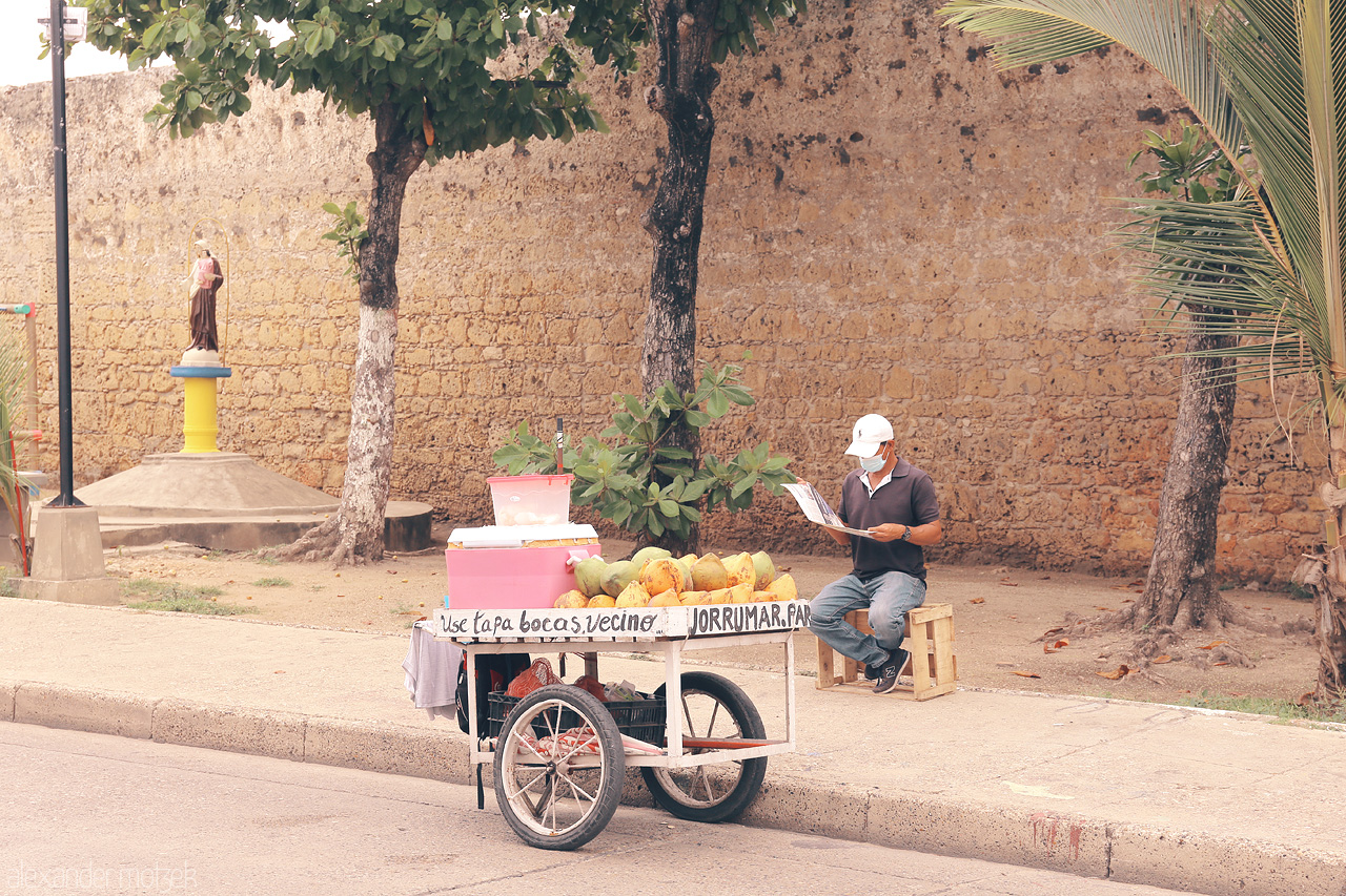 Foto von Street vendor in Cartagena, Colombia, selling fresh coconuts by a historic wall under shady trees.