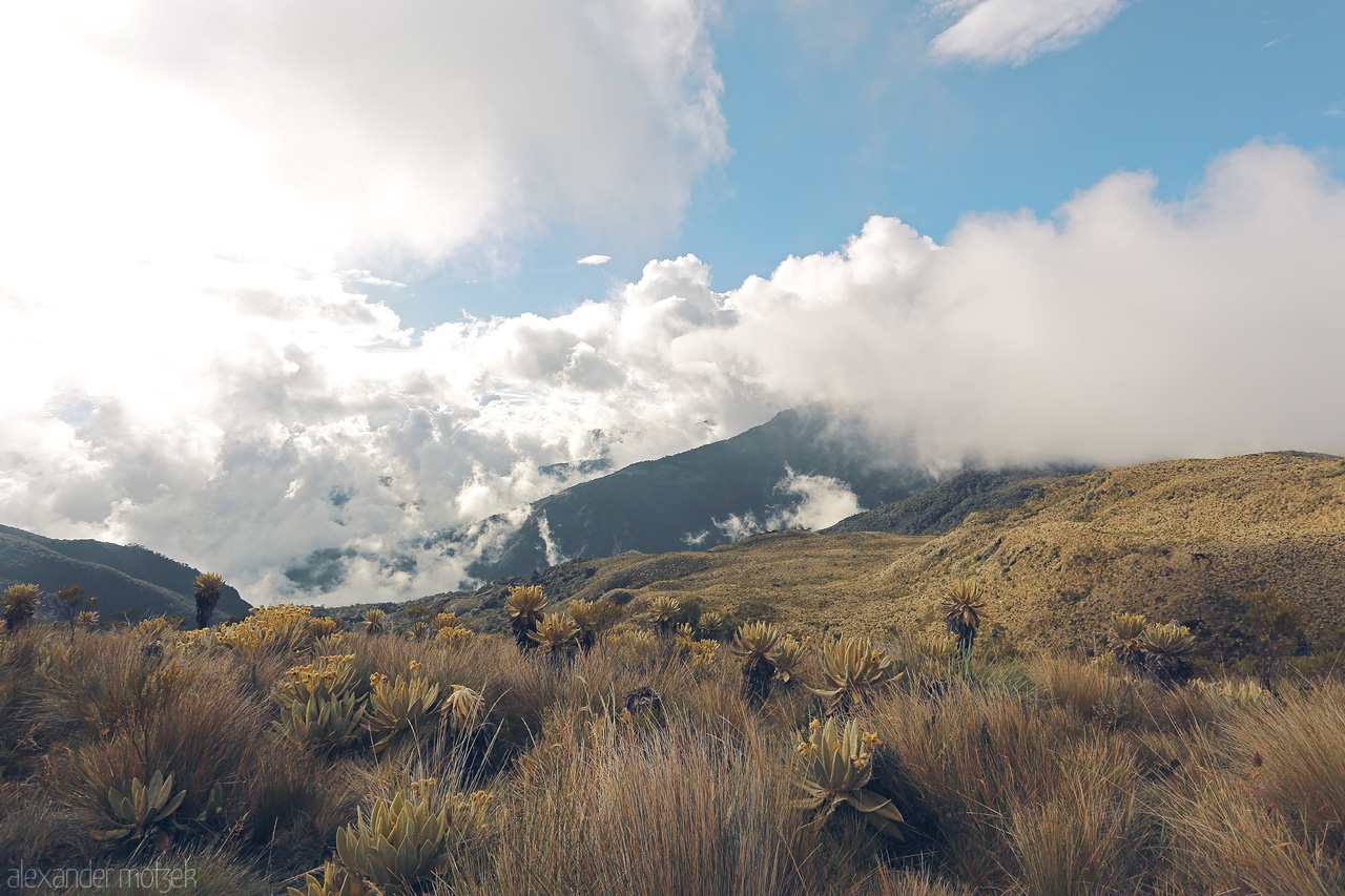 Foto von Stunning Andean landscape in Salento, Quindío, Colombia, with clouds enveloping the mountainous terrain. A golden view of nature's masterpiece.