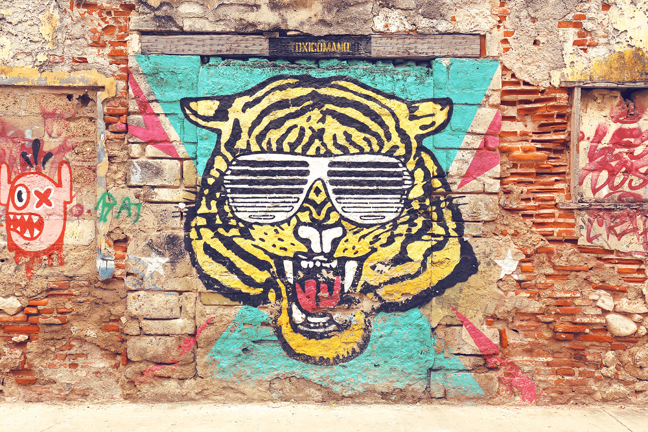 Foto von Vibrant tiger graffiti on a historic wall in Cartagena, Colombia, blending urban art with cultural charm.