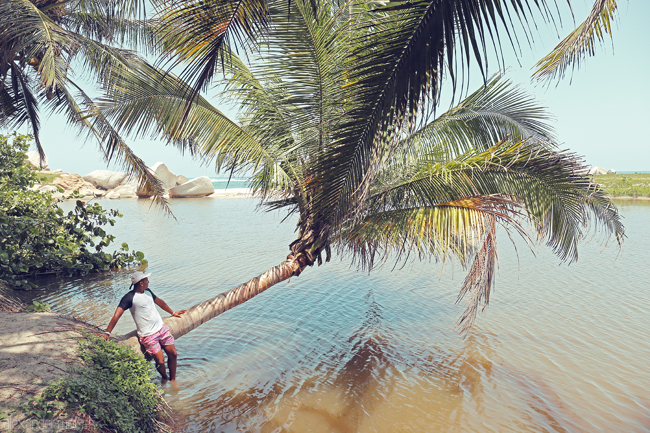 Foto von Young man enjoying lying under a leaning palm tree in the serene waters of Tayrona, Santa Marta, Colombia.