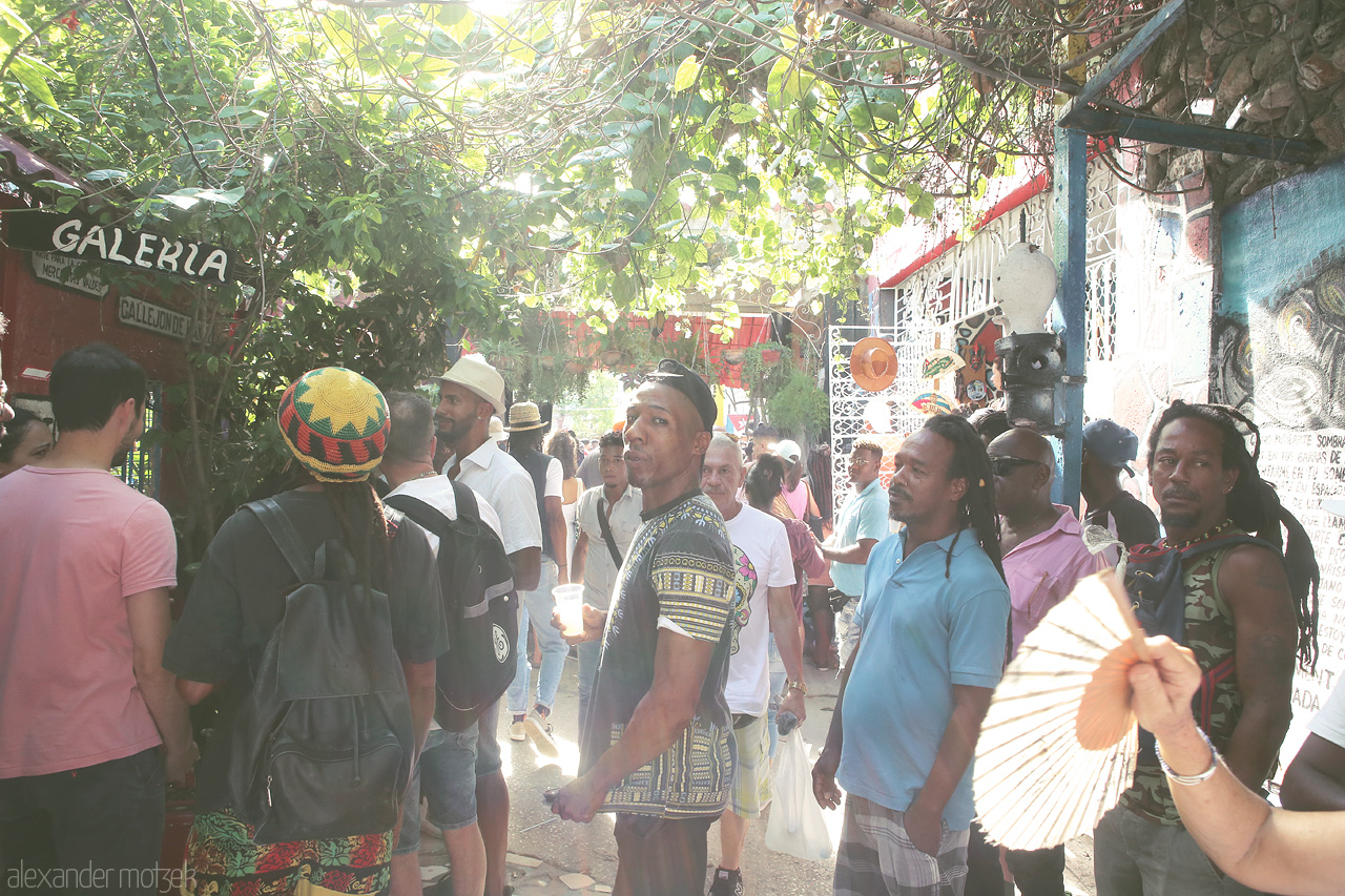 Foto von Rastafaris im Callejon de Hamel um Havana auf Kuba