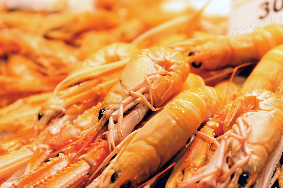 Foto von Fresh seafood delights at a bustling Barcelona market, showcasing vibrant prawns and local Catalan flavors.