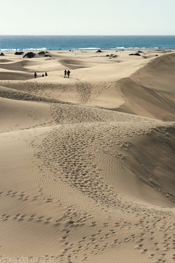 Foto von Gran Canaria Dunas de Maspalomas Sand Dünen