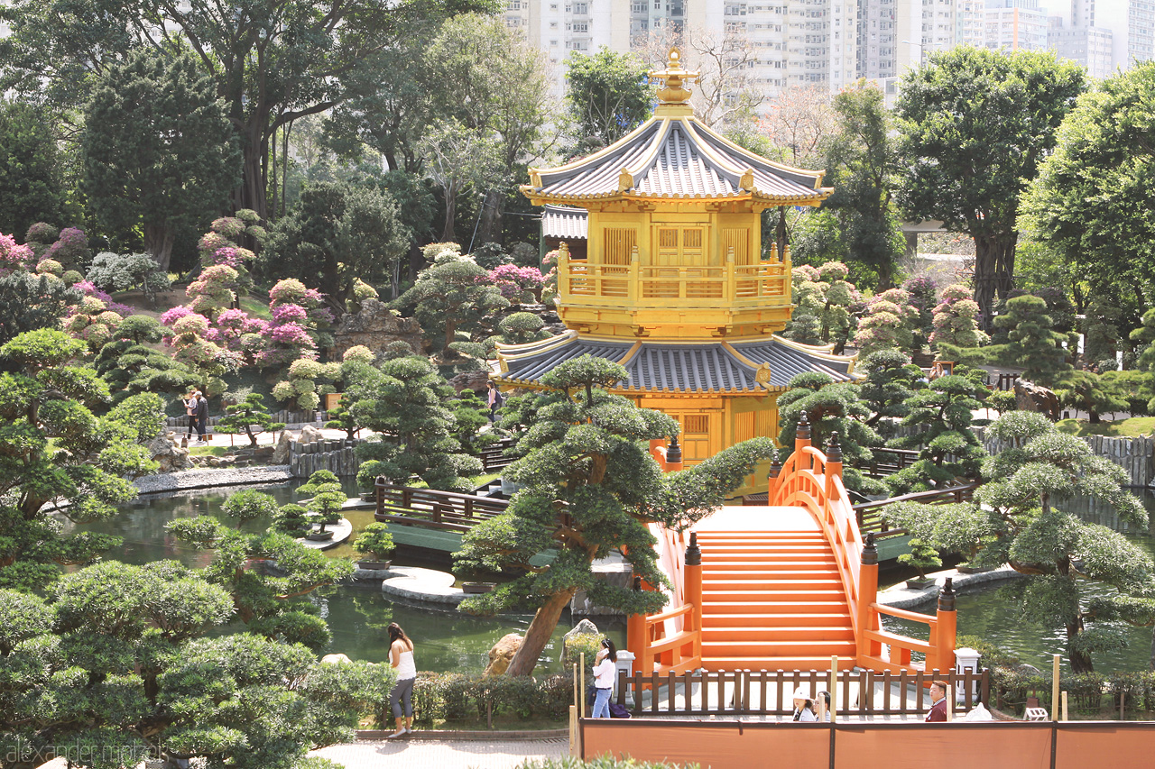 Foto von Chi Lin Nunnery in Hongkong