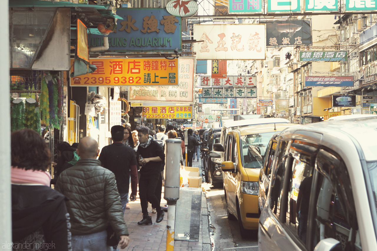 Foto von Fisch Markt in Mongkok