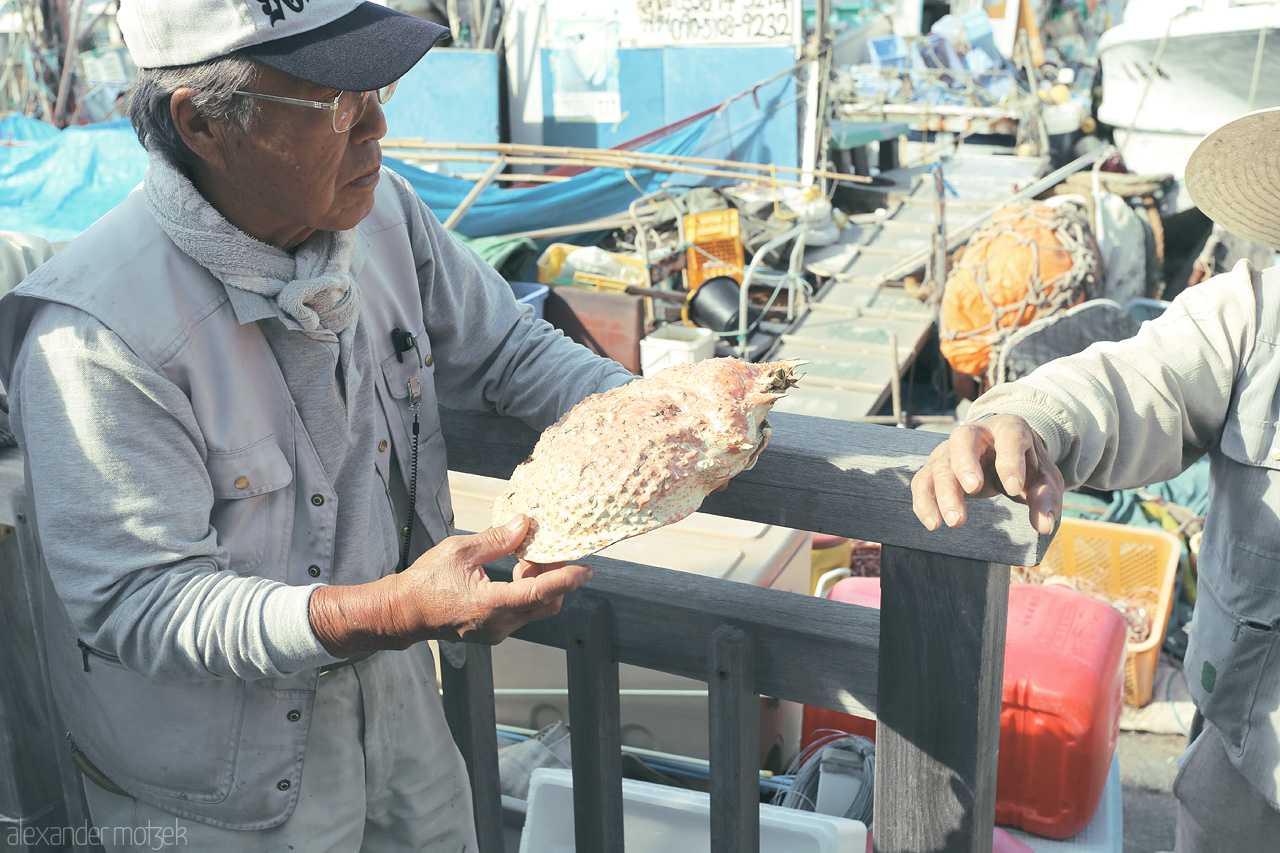 Foto von A fisherman presents a unique shell in Izu, Shizuoka, surrounded by vibrant harbor life and fishing gear.