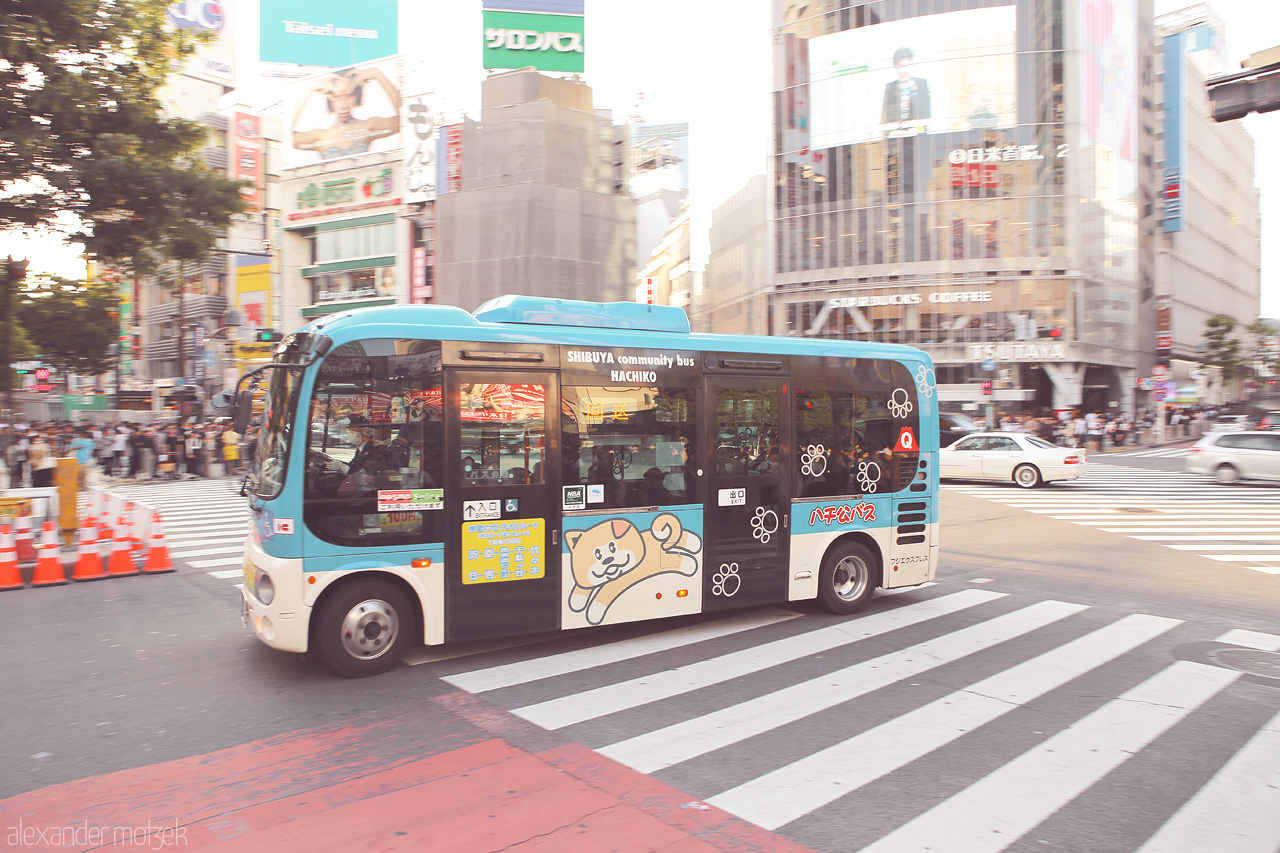 Foto von Bus überquert die riesige Shibuya Fußgängerkreuzung