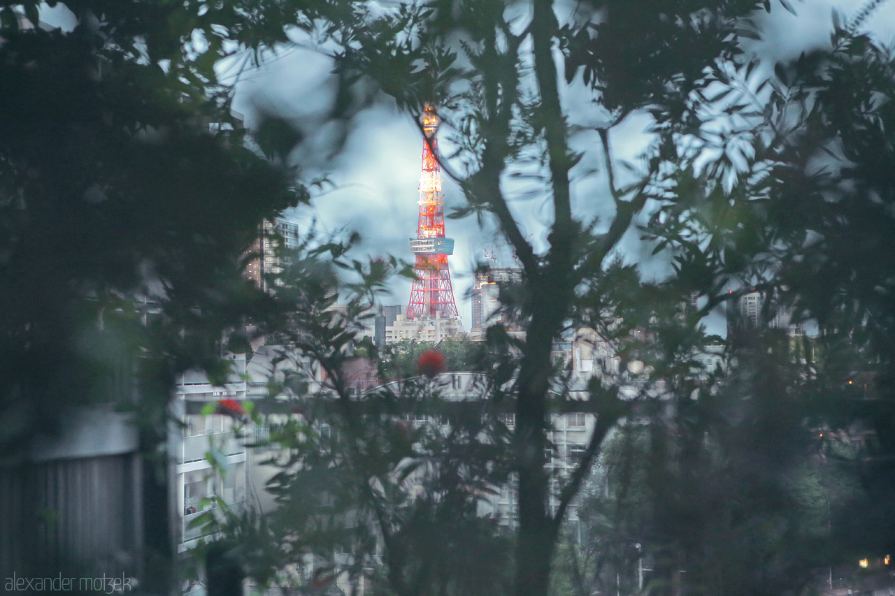 Foto von Der Eiffelturm Tokyos im Abendlicht erleuchtet im Hintergrund
