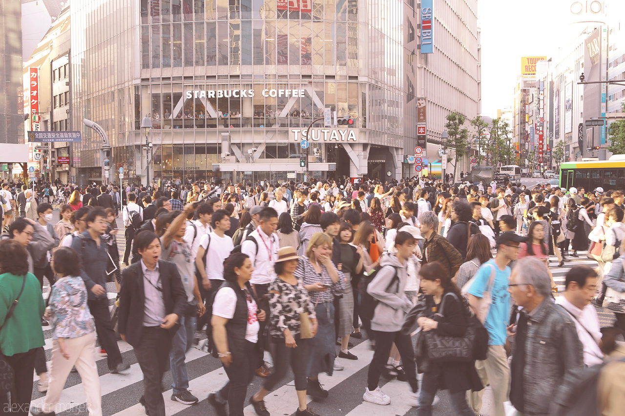 Foto von Hunderte Menschen überqueren die Shibuya Kreuzung im Abendlicht