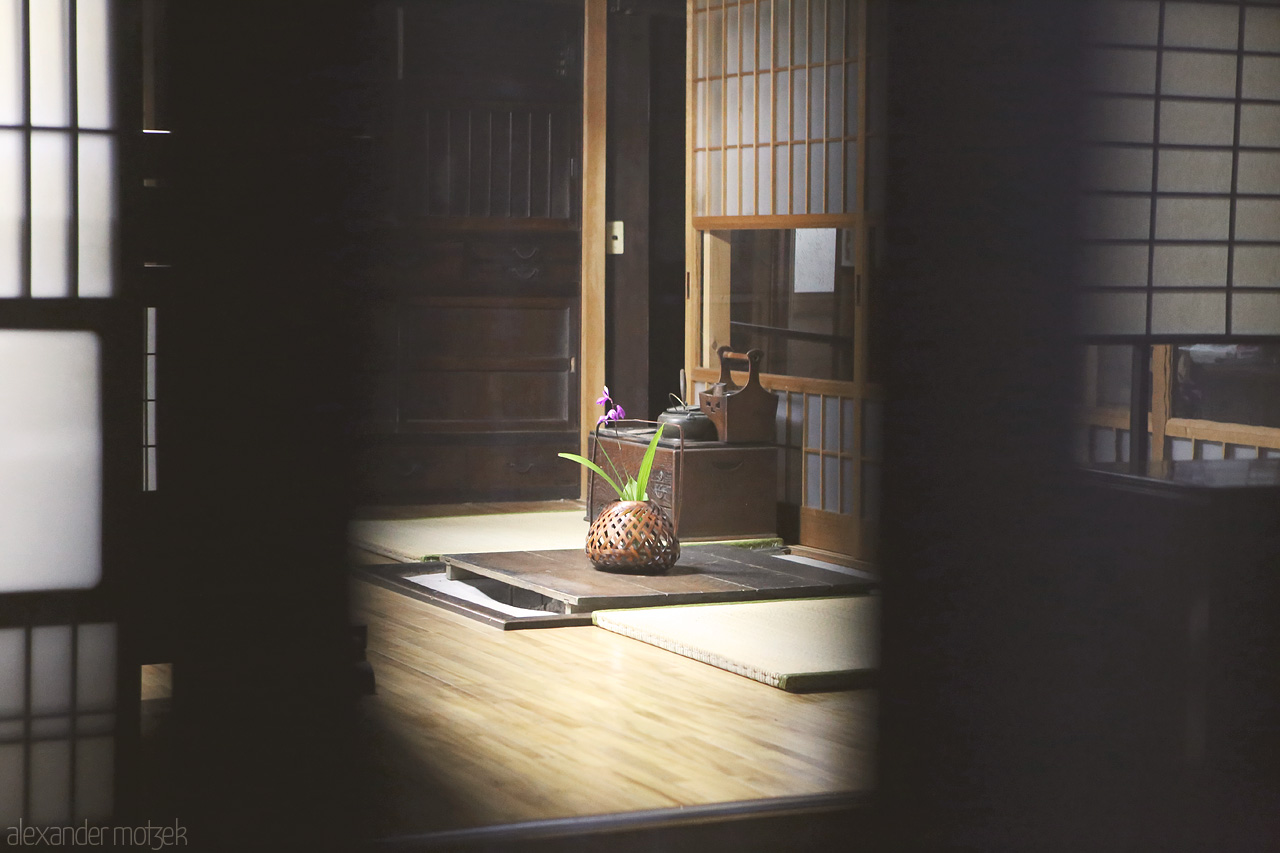 Foto von Orchidee in einem Ryokan in Magome