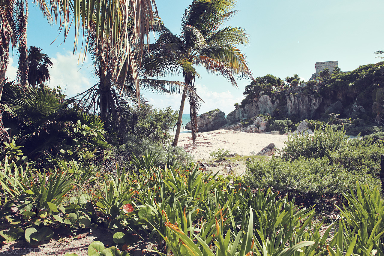 Tulum Tranquilidad Foto von Lush flora frames Tulum's ancient ruins and pristine beach, marrying history with tropical serenity.