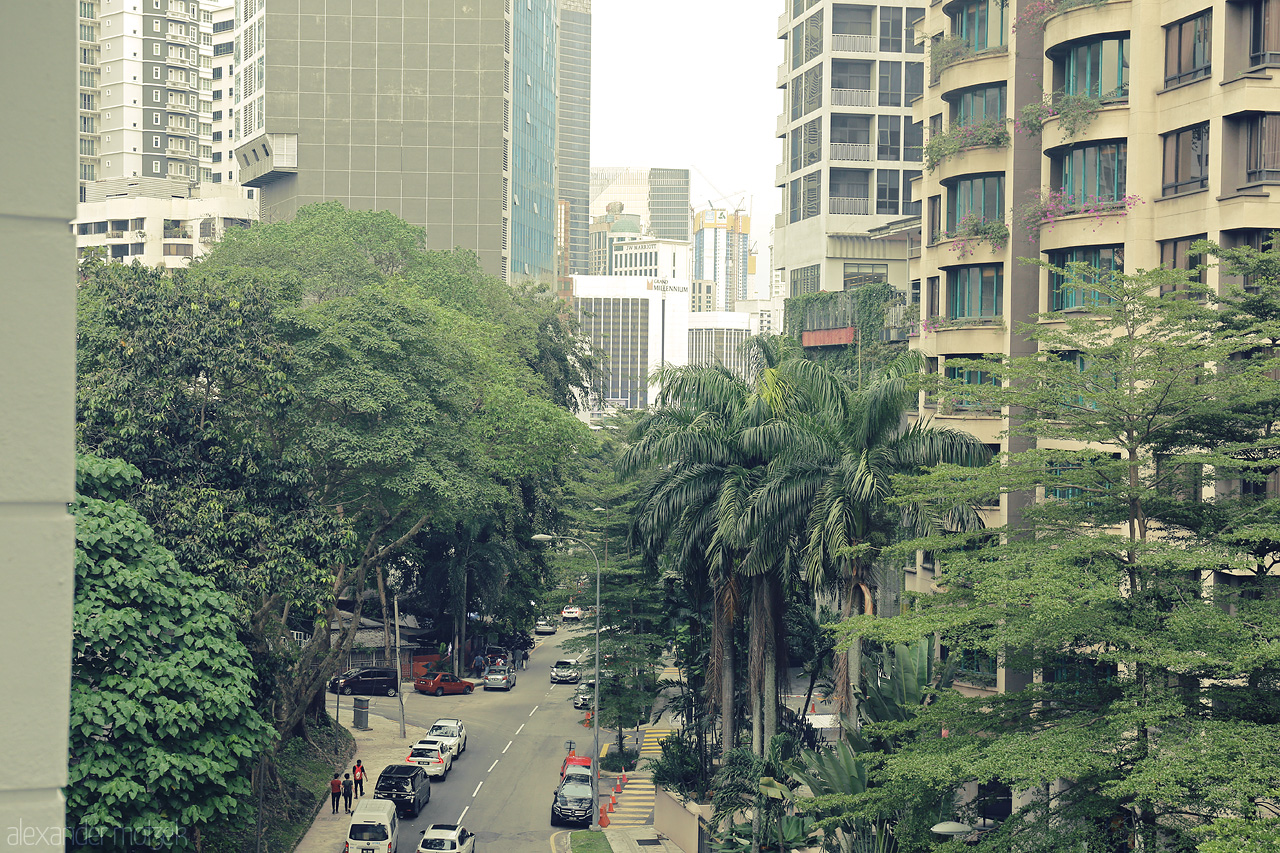 Foto von A serene street framed by lush palms and urban architecture in the vibrant heart of Kuala Lumpur.